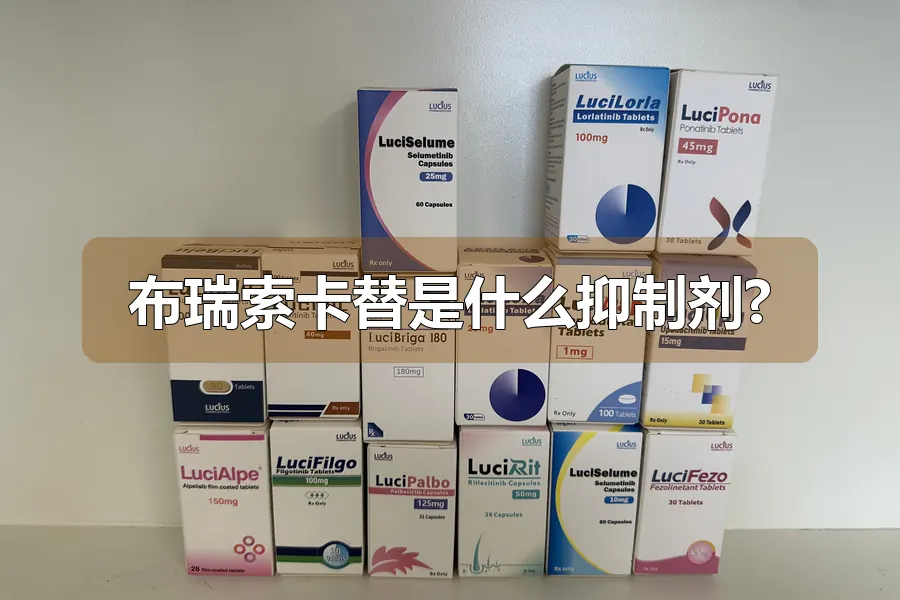 布瑞索卡替是什么抑制剂?